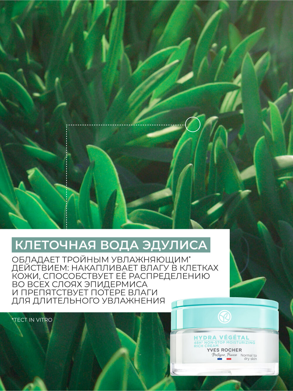 Yves Rocher Насыщенный Крем «Интенсивное Увлажнение 48Ч» - Для нормальной и сухой кожи, 50мл — фото 1