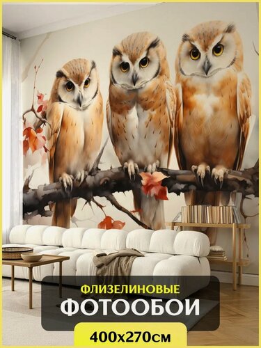 Изображение товара Фотообои на стену Сова 400 х 270 см