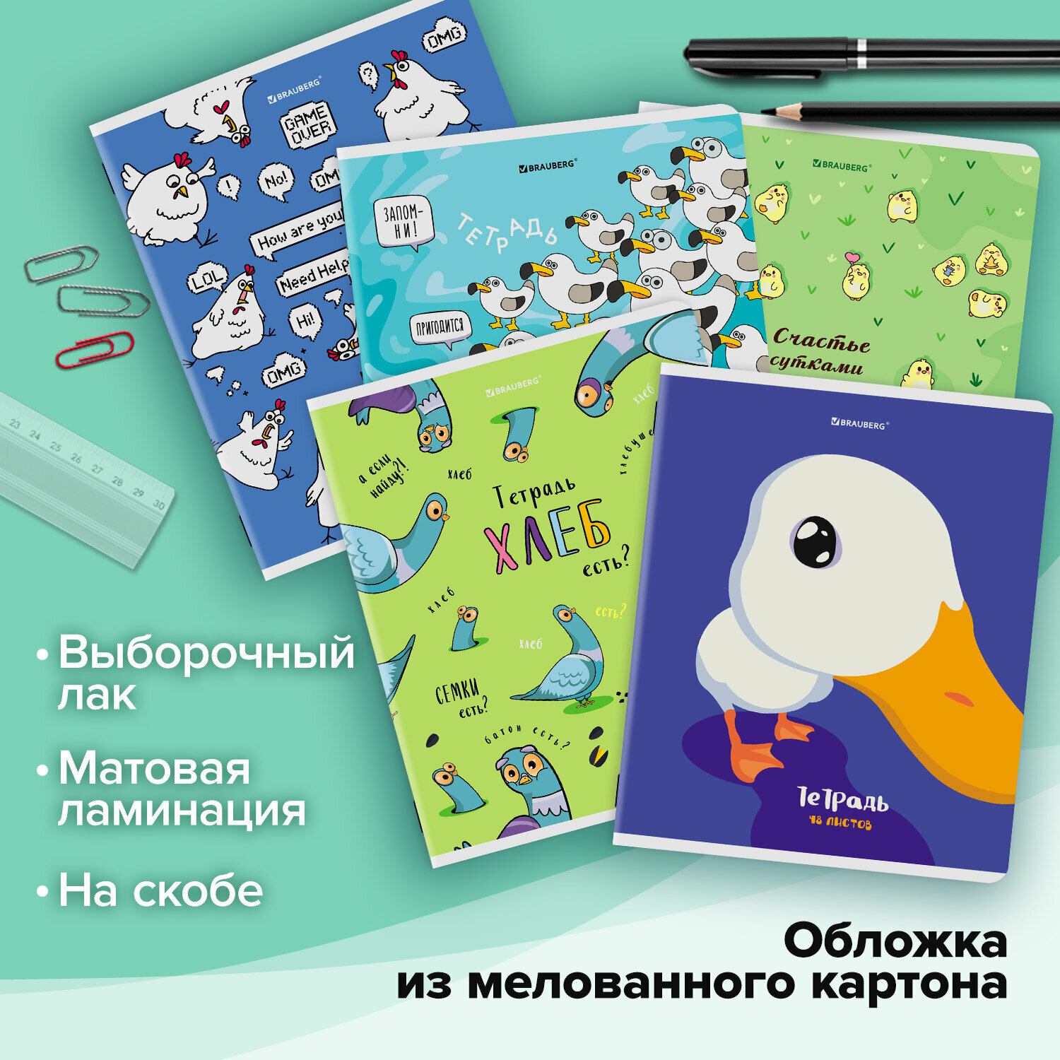 Тетрадь А5 в клетку 48 листов для записей в школу и офис, набор 5 штук, матовая обложка, Brauberg Курлык и все-все-все, 404959 — фото 1