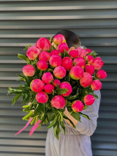 Изображение товара Букет wowflo "Коралловые", из пиона, 25 цветов, высота 55 см, оформление в пленке/крафт-бумаге