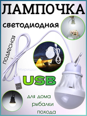 Светодиодная подвесная USB лампочка