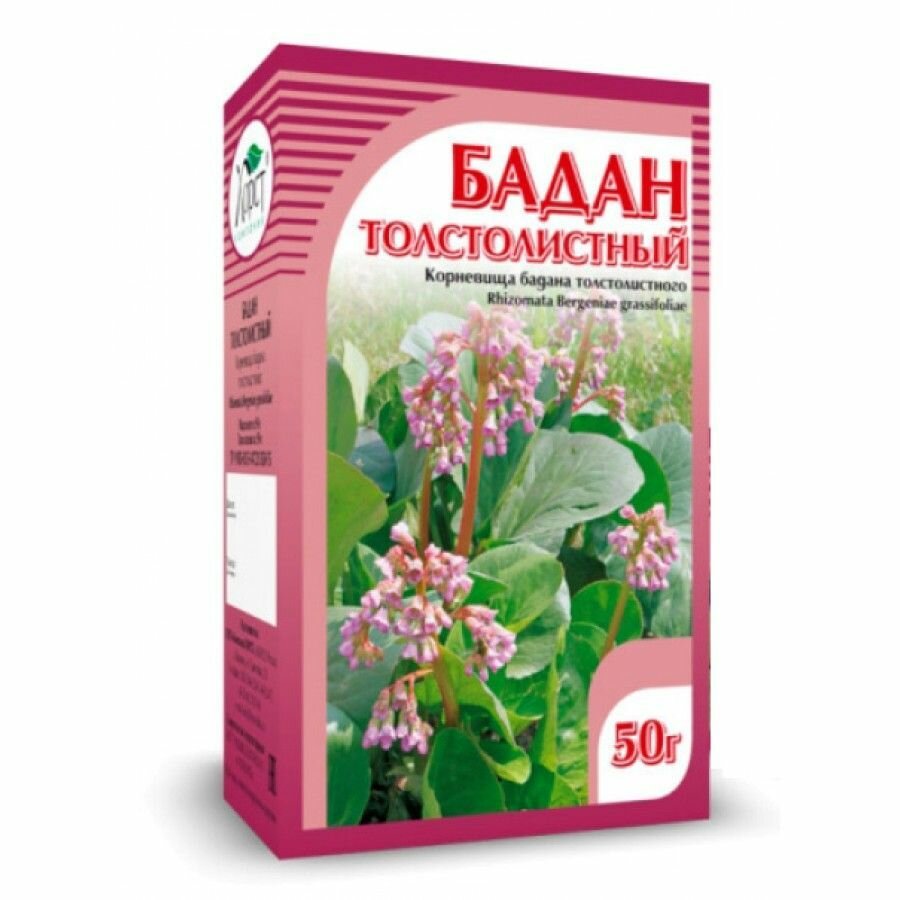Бадан толстолистный корень 50 гр Хорст