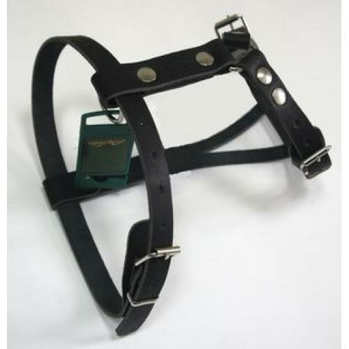 Изображение Шлейка (Аркон) черная (коккер спан, франц. бульд.)