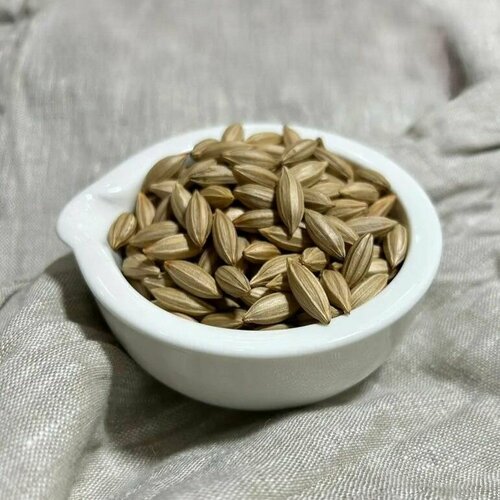 Семена Лоха Эббинге, 2 грамма (примерно 7 шт)