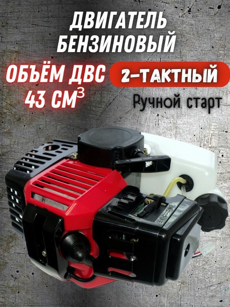 Двигатель 2-х тактный BR-430-431