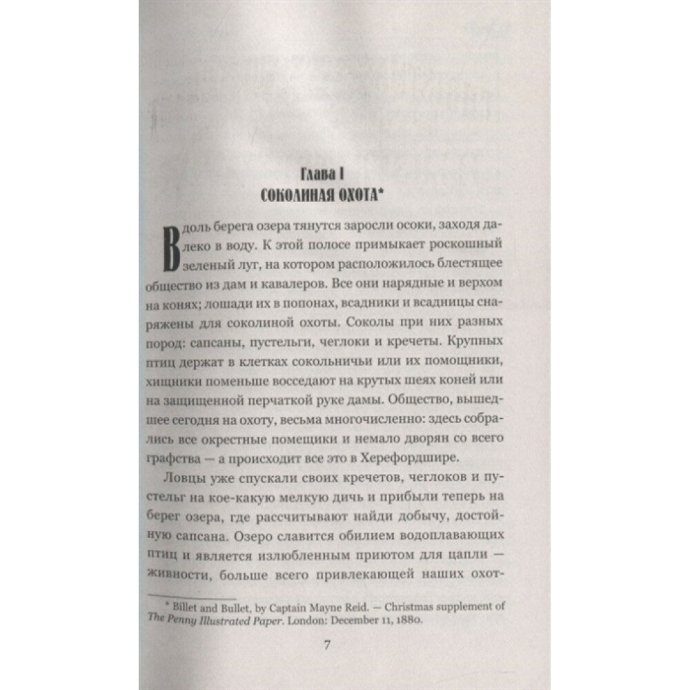 Книга Письмо и пуля; Охотник на медведей; Зеб Стумп и другие - фото №11