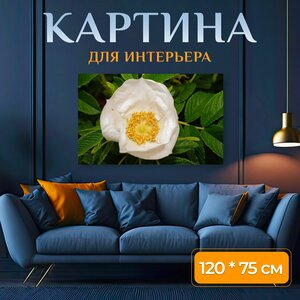 Картина на холсте "Дикая роза, кустарник, цвести" на подрамнике 120х75 см. для интерьера