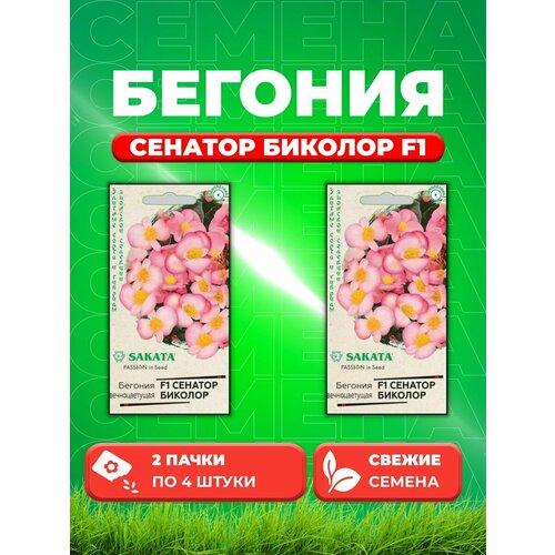 Бегония вечноцветущая Сенатор Биколор F1, 4шт, Sakata(2уп)