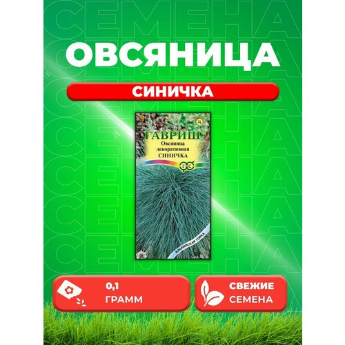 Овсяница Синичка, декоративная (сизая ледниковая) 0,1г овсяница ледниковая синичка 0 1 г альпийская горка