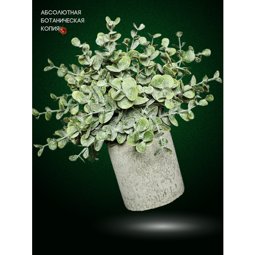 Искусственный цветок эвкалипт декоративный в кашпо