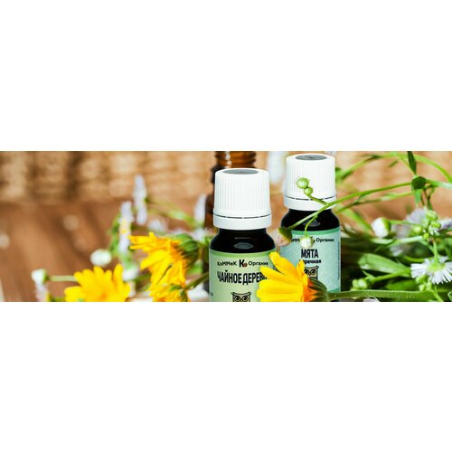 Домашняя аптечка эфирных масел Чайное дерево и Мята перечная