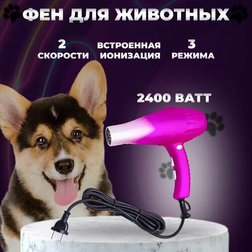 Фен для собак и кошек DIMI 9200 для груминга