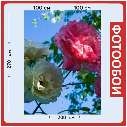 Фотообои Розовый сад розы 200x270 см флизелиновыена стену 2950₽