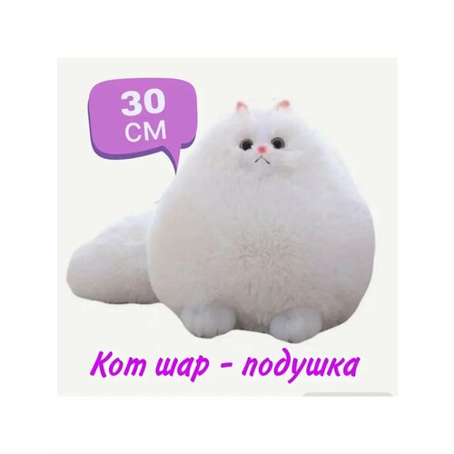 Персидский Кот Шар Беляш