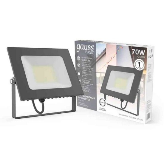 Прожектор Gauss BASIC 70W 6300lm 6500K 200-240V IP65 графитовый LED 1/10 — фото 1