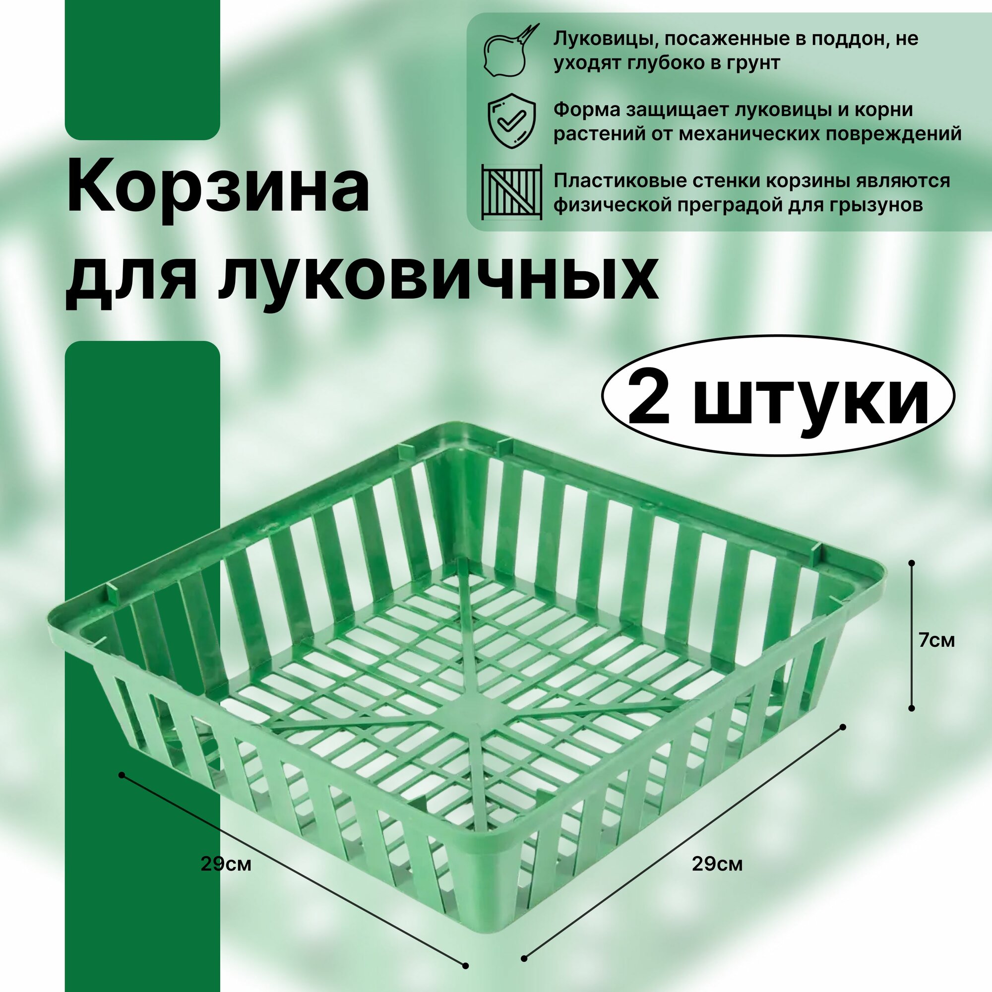 Корзина для луковичных 2 шт 29х29х7 см пластик цвет зеленый. Ящик для высадки лука чеснока гладиолусов и других растений обеспечивает корням доступ к питательным веществам защищает от загнивания