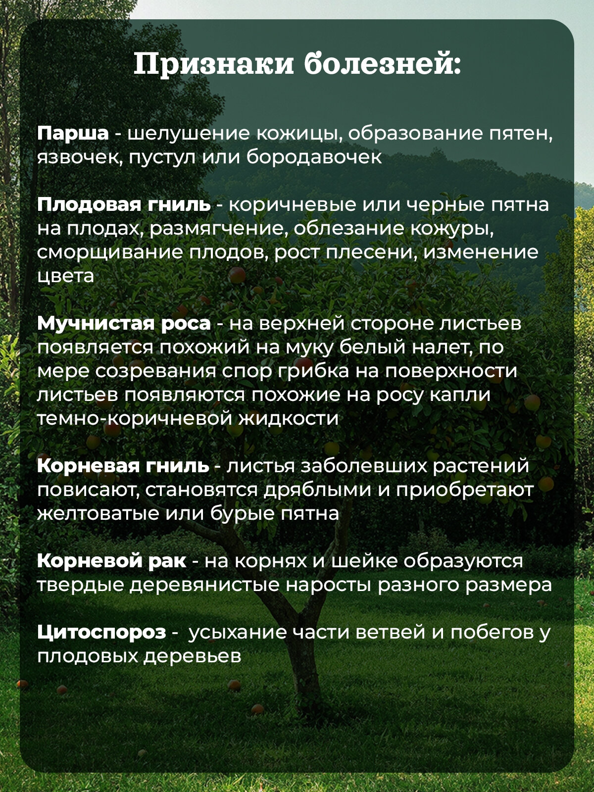 Спасатель для плодовых деревьев от болезней и вредителей "Чистый сад" 3 в 1 (3 ампулы на 10 литров) — фото 1