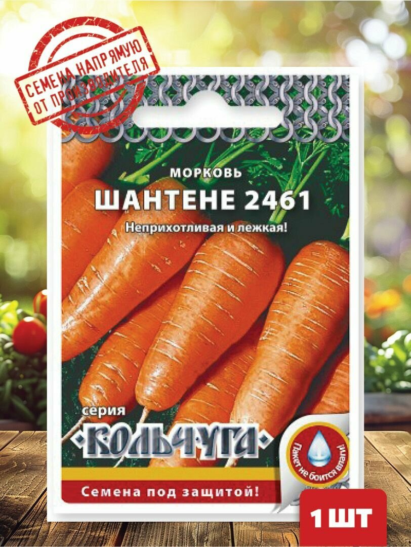 Семена Морковь Шантене 2461