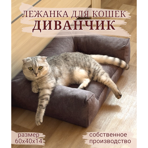 Лежанка для кошек "Диванчик", 60х40х14, удобные бортики и спинка