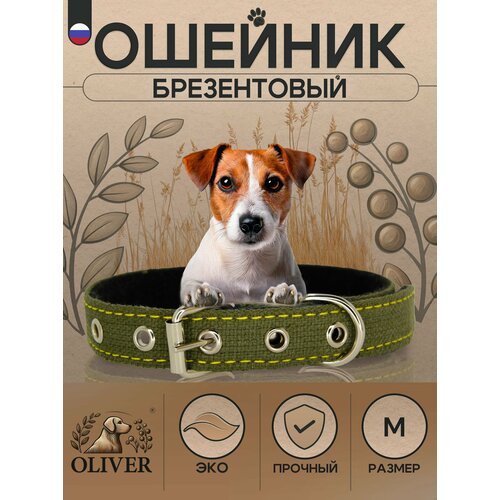 Брезентовый ошейник для собак Oliver на мягкой подкладке из синтепона / M / Хаки