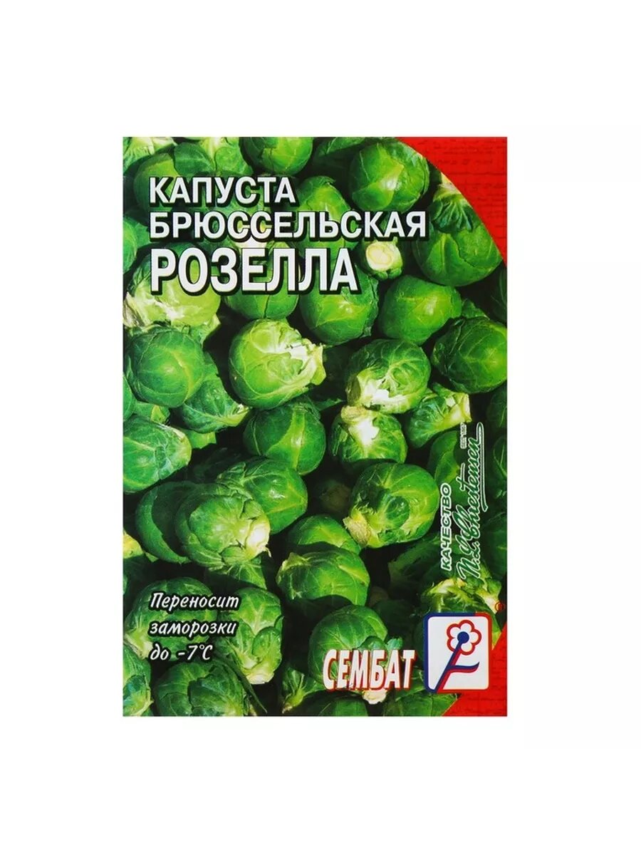 6 пак. Семена Капуста брюссельская 