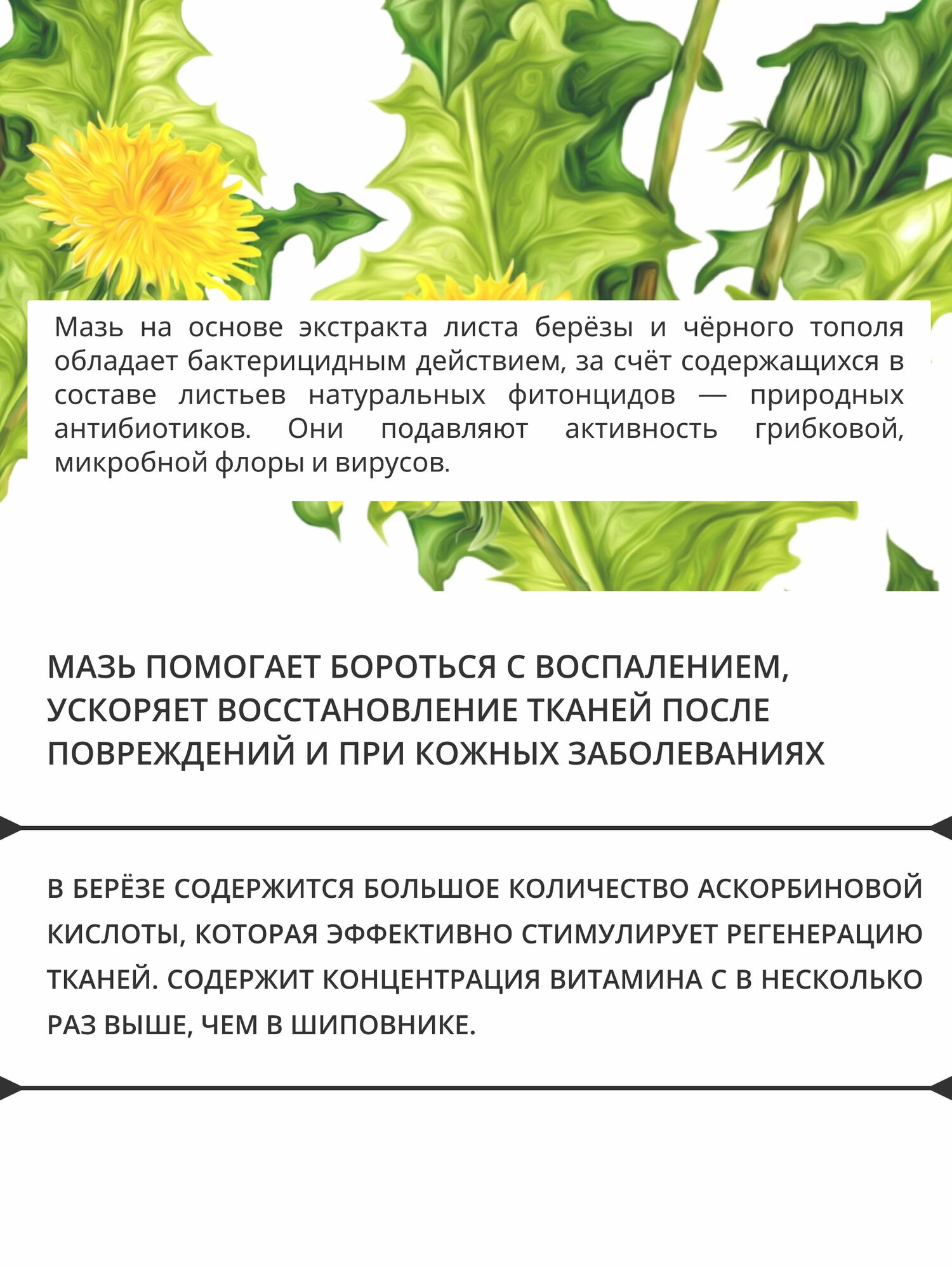 Картинки Мазь № 2 при экземе от псориаза и дерматита и укусов насекомых 40мл