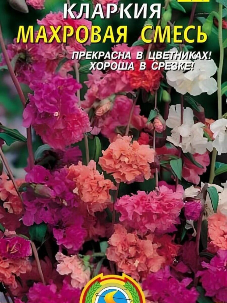 Семена Кларкия махровая смесь 02 гр Плазменные семена