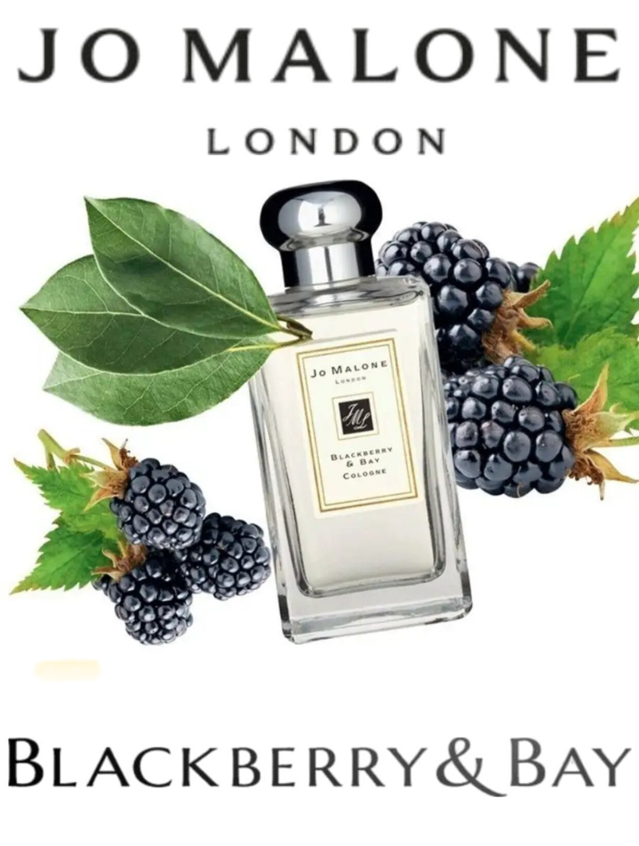 JO MALONE, Blackberry & Bay Cologne, роскошные и элегантные духи, 100 мл