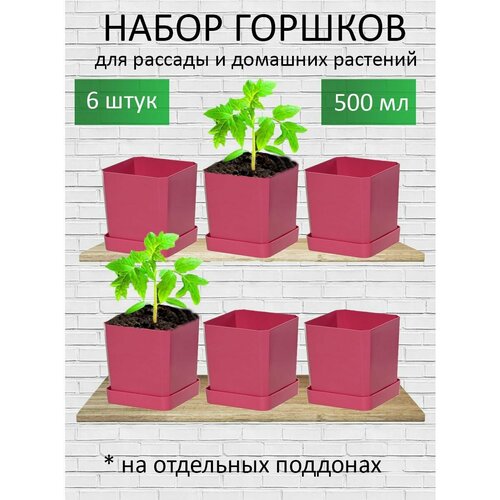 Горшки для рассады и цветов, горшок для цветов - 6 шт по 500 мл на отдельных поддонах, французская роза