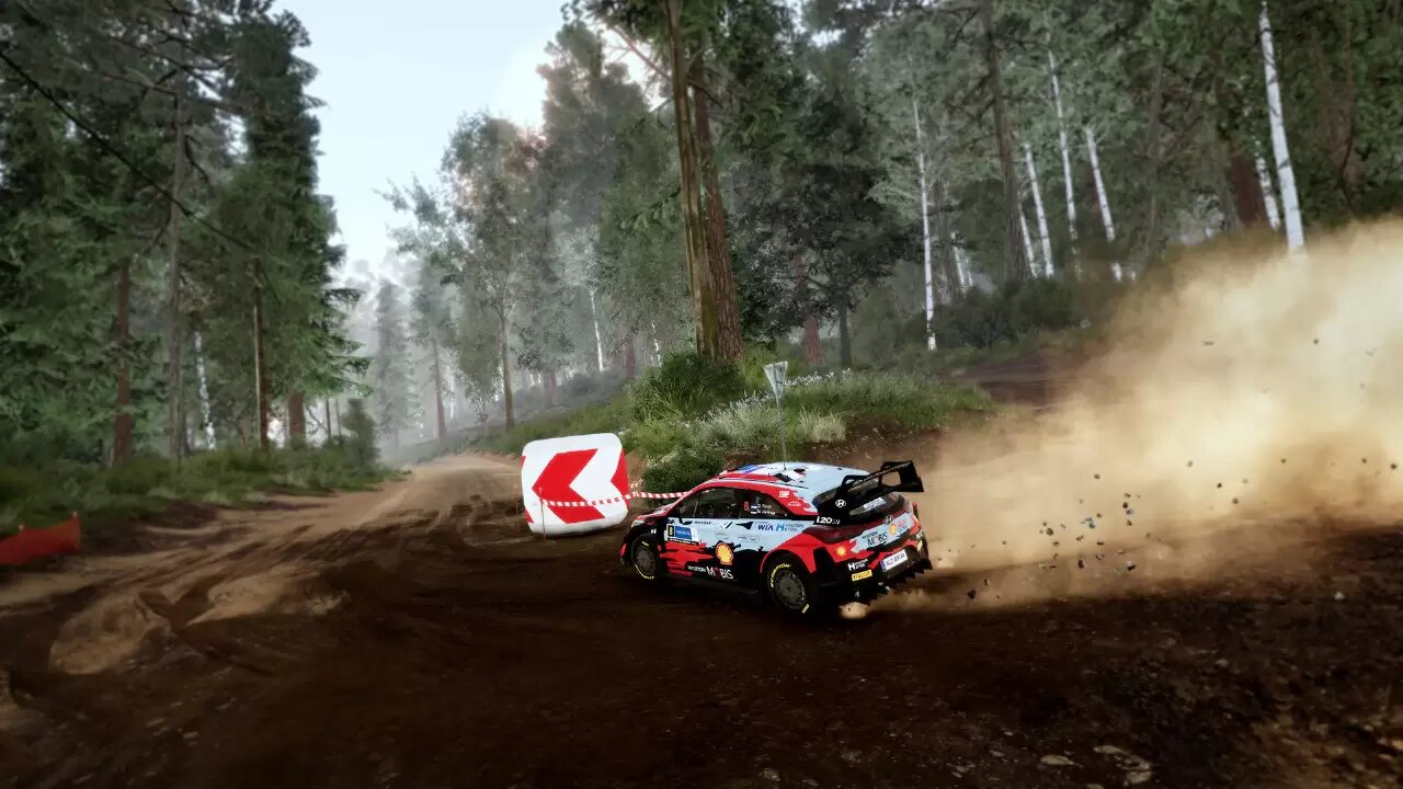 WRC 10 FIA World Rally Championship - Arena Panzerplatte (Steam; PC; Регион активации Россия и СНГ)