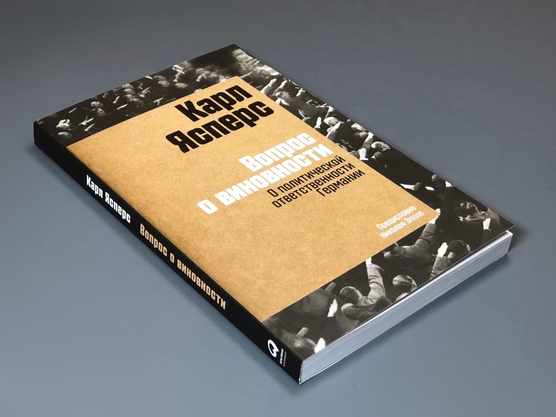 Вопрос о виновности. О политической ответственности Германии. Предисловие Николая Эппле - фото №15