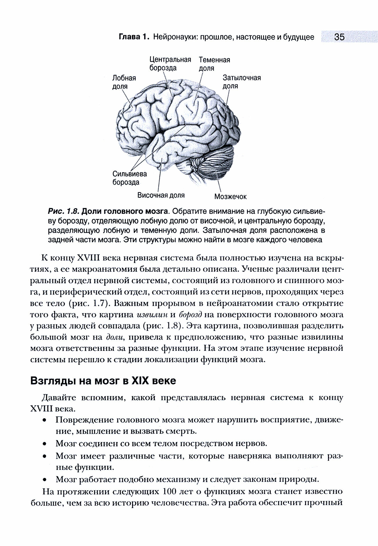 Нейронауки. Исследование мозга. В 3-х томах. Том 1. Основы - фото №4