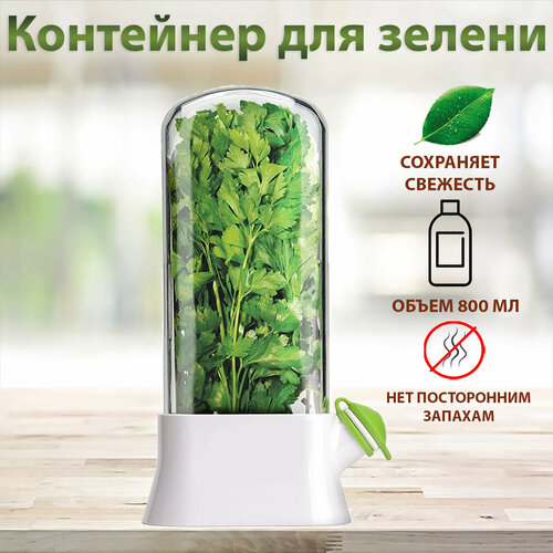 Контейнер для хранения зелени 