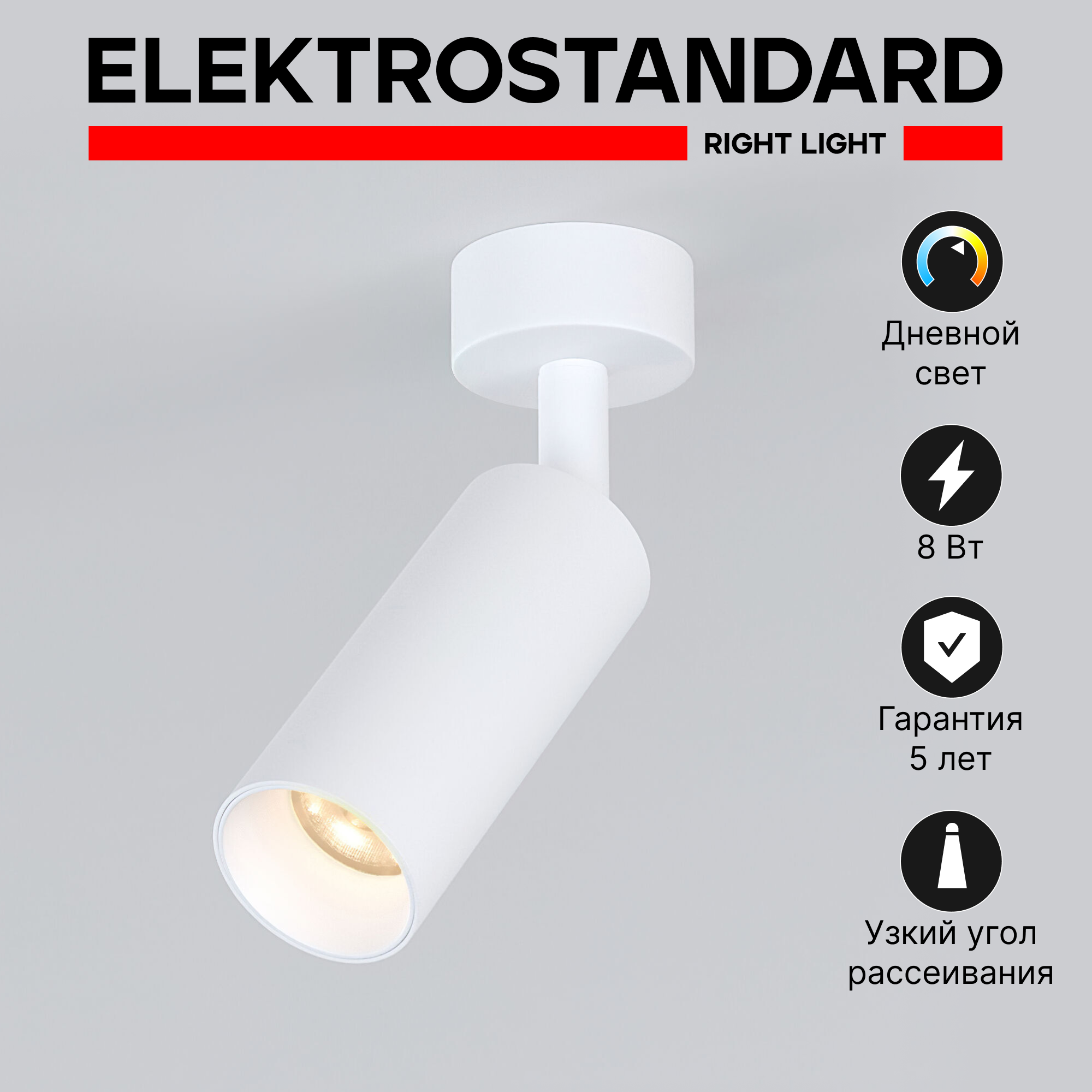 Спот / Накладной светодиодный светильник с поворотным плафоном Elektrostandard Diffe 85639/01 8W 4200K белый