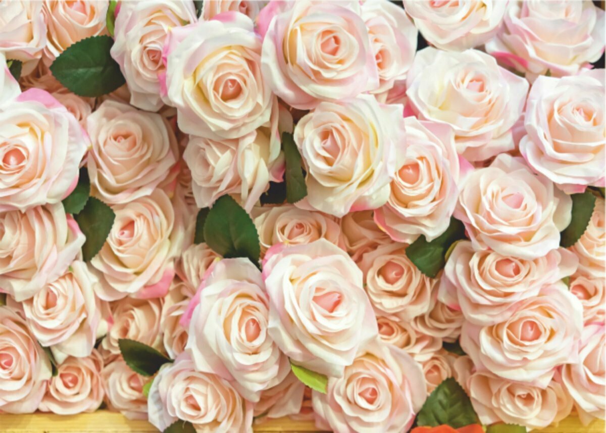 Фотообои бумажные BELLISSIMO "Роскошные розы" 280*200 см (8 листов)