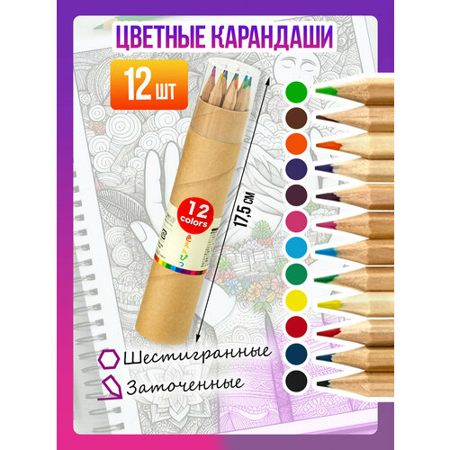 Набор цветных карандашей в тубусе Карандаш для творчества заточенный 12 шт 388₽