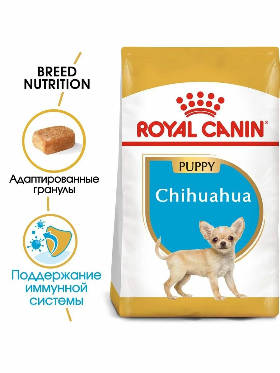 Сухой корм Royal Canin Chihuahua длященков до 8мес 500г — фото 1