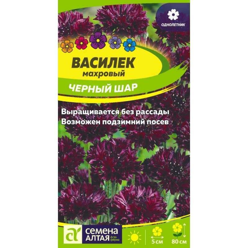 Семена Василек Черный шар махровый 05 гр Семена Алтая
