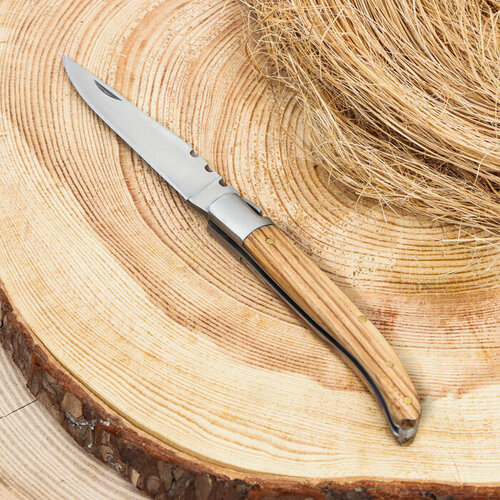 Нож складной Плющ 19,5см, клинок 90мм/2мм, рукоять дерево