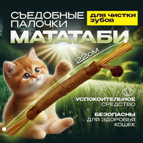 Палочка игрушка для кошек палочки деревянные мататаби с мятой для чистки зубов кошек 5 штук 12 см 0 8 мм игрушка мятная жевательная палочка зубочистка