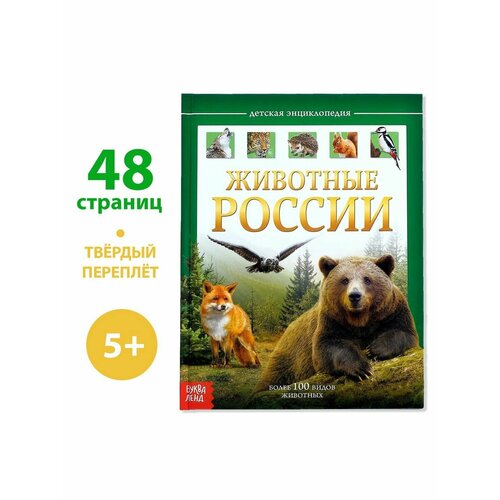 Энциклопедии детская энциклопедия в твёрдом переплёте животные 48 стр