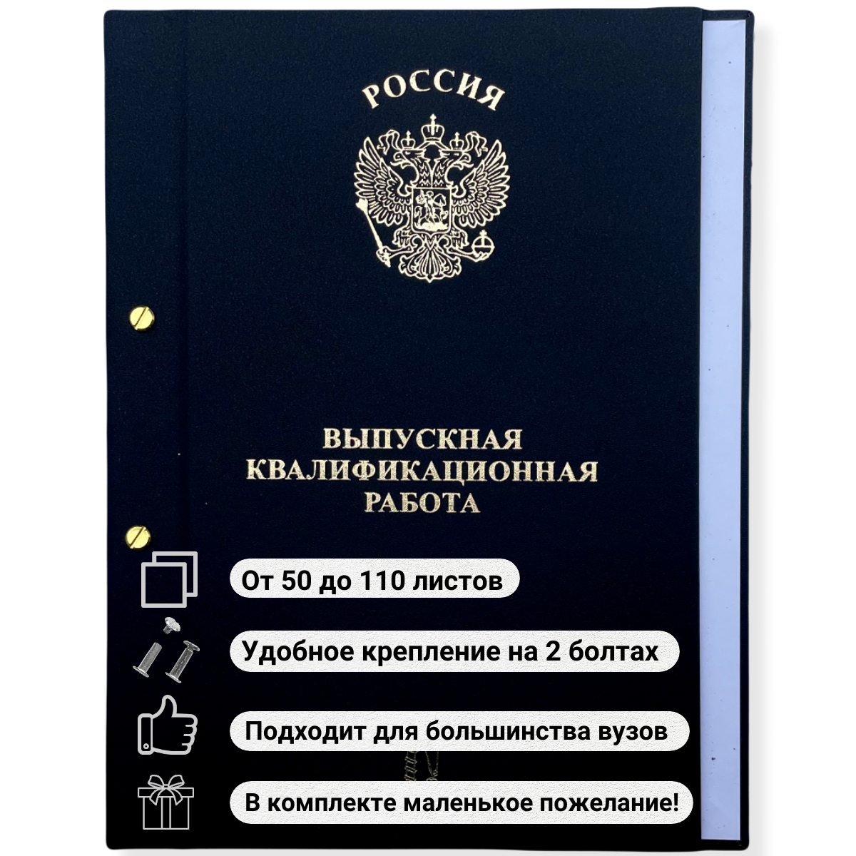 Папка для Выпускной квалификационной работы, для диплома, курсовых, рефератов. А4, без бумаги, 2 отверстия, на золотых болтах. ВКР.