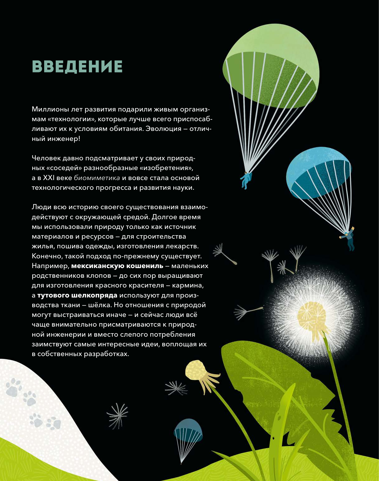 Дикие изобретения. 40 технологий, подаренных нам природой - фото №8