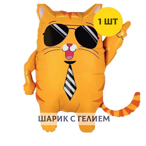 фото Воздушный шар с гелием крутой кот купить шары