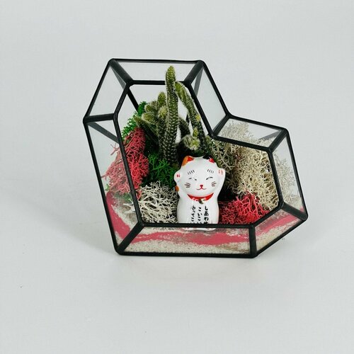 Флорариум сердце бриллиант, Манэки нэко-денежный кот