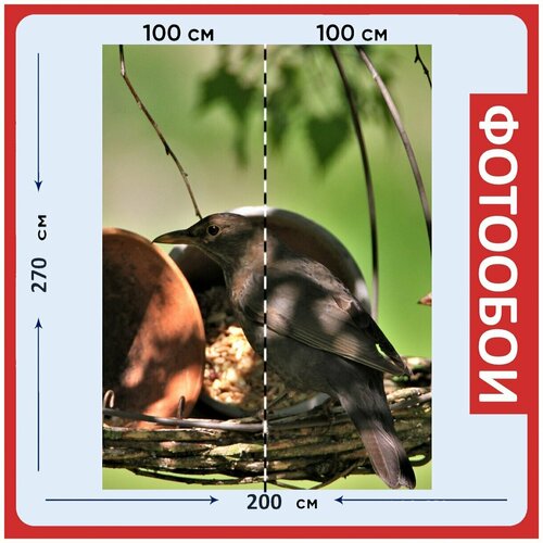 Фотообои Черный дрозд дроссельной заслонки птица 200x270 см флизелиновыена стену 2950₽