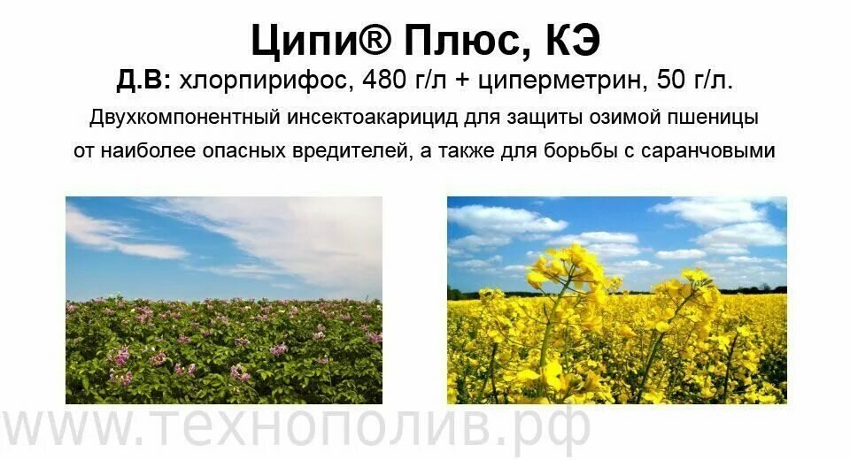 Инсектицид Ципи Плюс 5л
