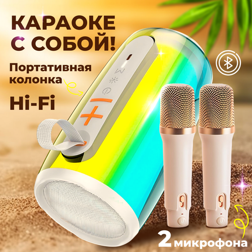 Караоке система, колонка караоке с 2 микрофонами, караоке система для дома