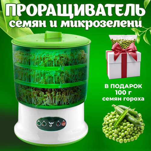 Проращиватель семян для микрозелени автоматический с крышкой