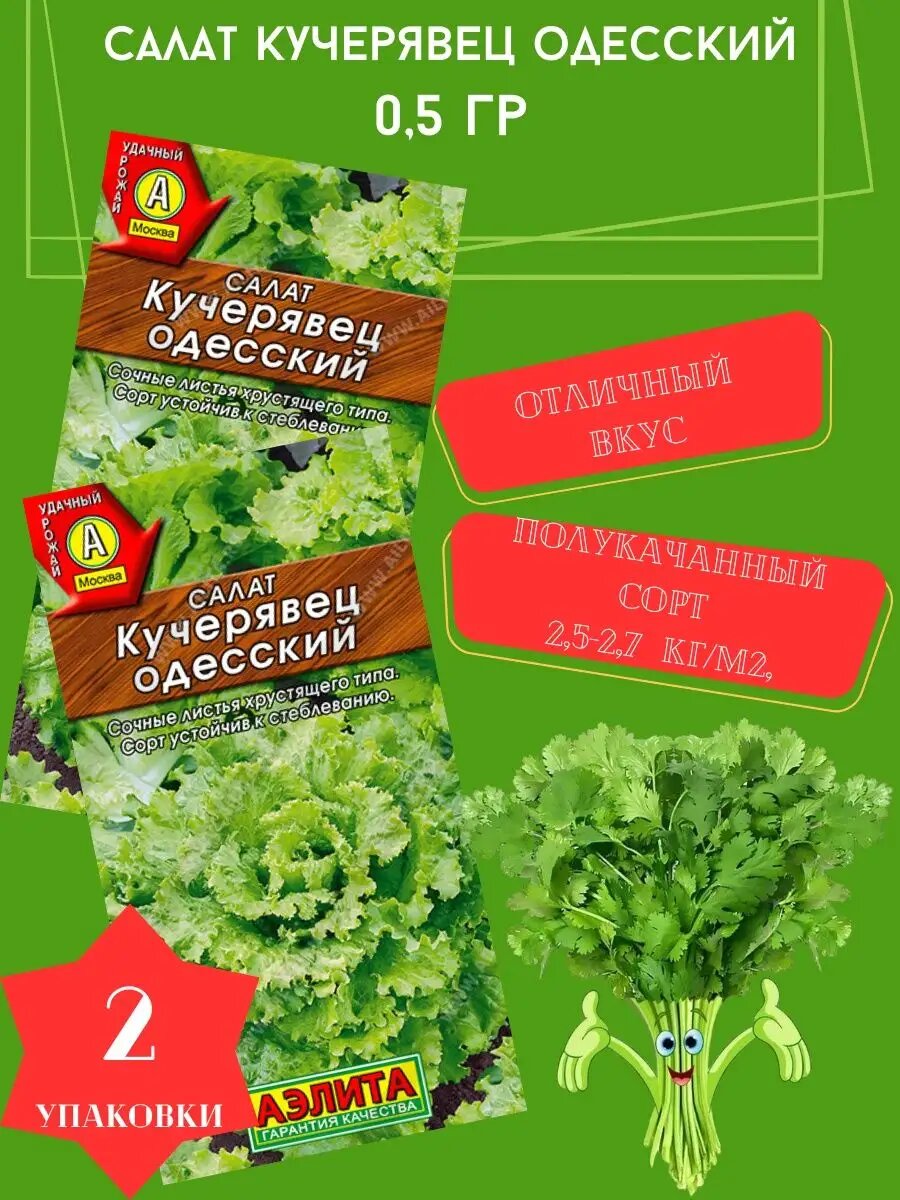 Салат Кучерявец Одесский 05 гр 2 упаковки